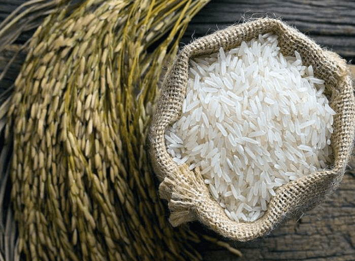 hạt gạo